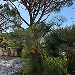 Corcovada Vitoria With Private Pool Villa *